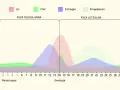 Wykres poziomu hormonów (LH, FSH, estrogen, progesteron) w cyklu miesiączkowym.