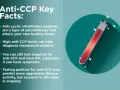 Kluczowe fakty o anty-CCP: przeciwciała atakujące zdrowe tkanki, pomocne w diagnozie RZS.