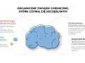 Ilustracja przedstawia niebieski mózg otoczony ikonami i nazwami hormonów: oksytocyna, serotonina, dopamina, endorfina.