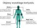 Ilustracja przedstawia sylwetkę człowieka z zaznaczonymi obszarami ciała i objawami wysokiego kortyzolu.