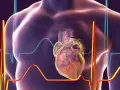 Anatomical serce na tle wykresów EKG i sylwetki człowieka.
