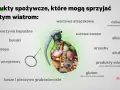 Granat wypełniony warzywami i owocami, symbolizujący produkty sprzyjające wiatrom. Dowiedz się, jak wypuścić gazy z jelit, unikając tych pokarmów.