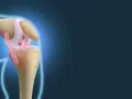 Ilustracja anatomiczna stawu kolanowego z widocznymi więzadłami i kośćmi.