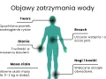 Objawy zatrzymania wody w organizmie: opuchlizna twarzy, trudność w zdejmowaniu biżuterii, wzdęcia, nagłe skoki wagi, obrzęki nóg i kostek.