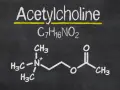 Struktura chemiczna acetylocholiny na tablicy.