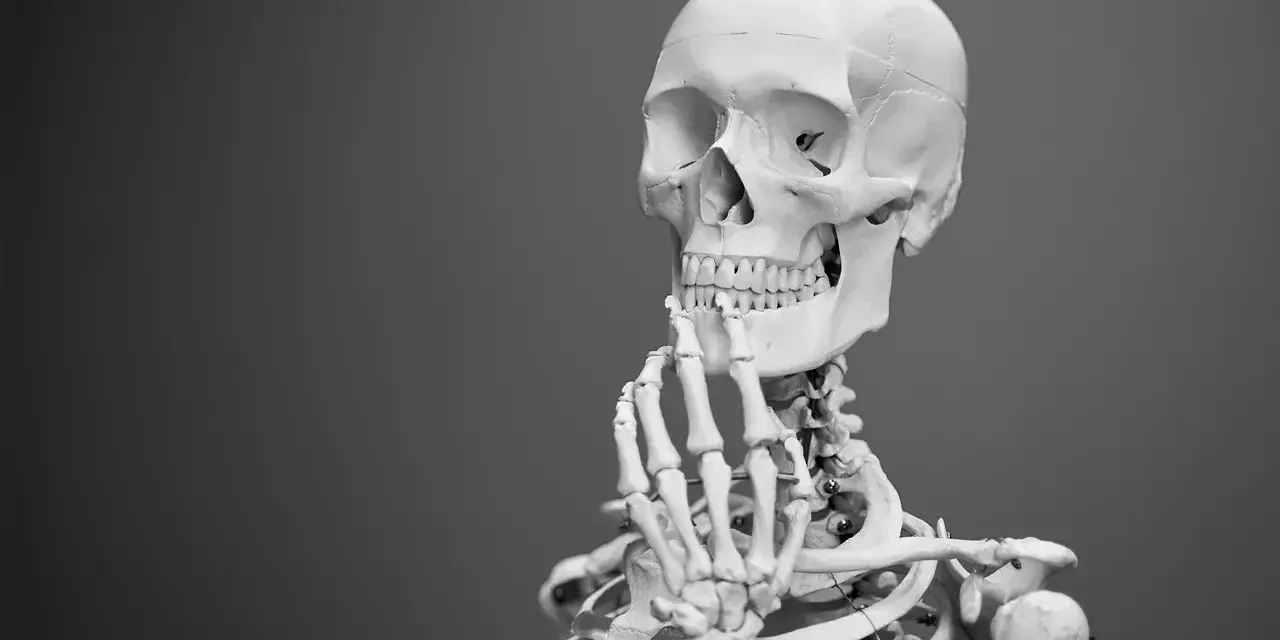 Model ludzkiego szkieletu z ręką przy podbródku, na szarym tle.