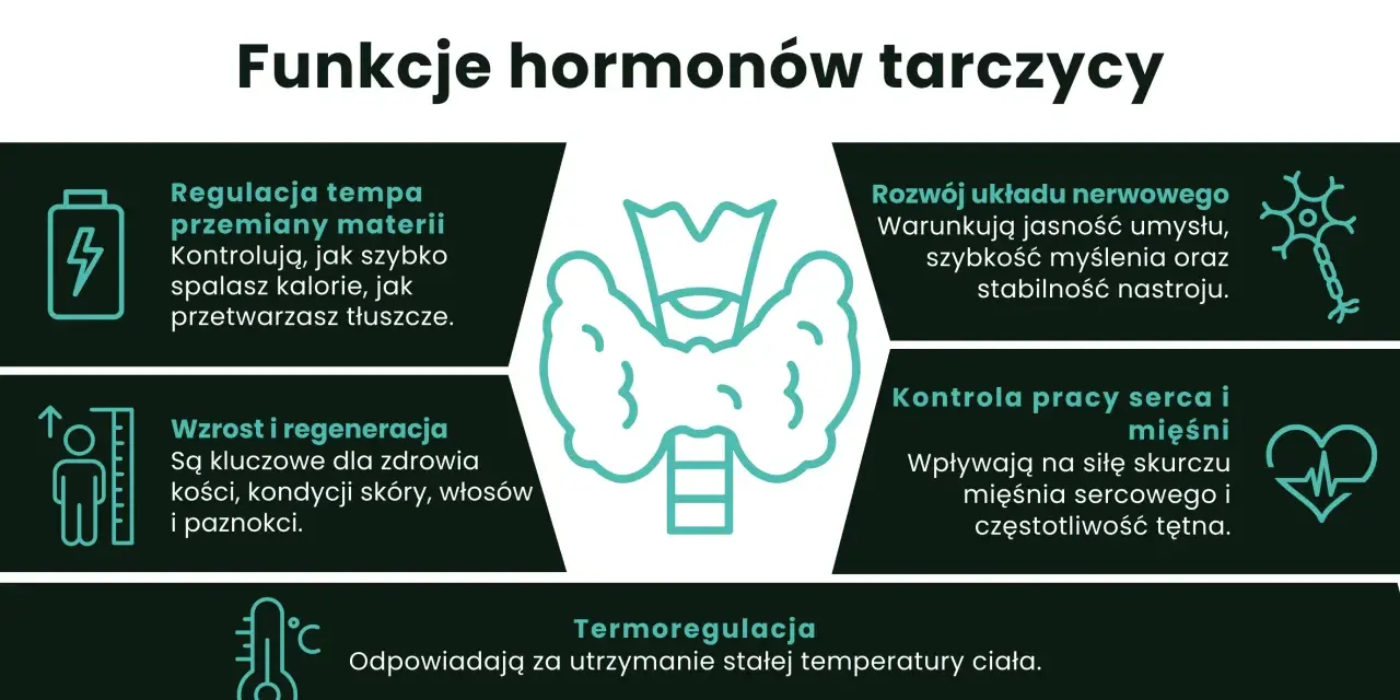 Grafika przedstawia tarczycę i ikony symbolizujące jej funkcje: metabolizm, układ nerwowy, wzrost, serce i termoregulację.