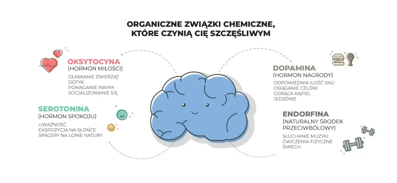 Ilustracja przedstawia niebieski mózg otoczony ikonami i nazwami hormonów: oksytocyna, serotonina, dopamina, endorfina.