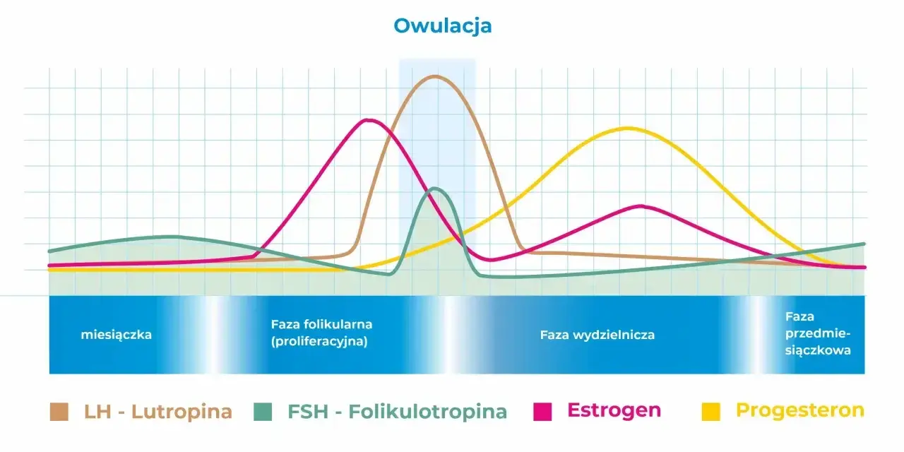 Wykres przedstawiający poziomy hormonów (LH, FSH, estrogen, progesteron) w cyklu menstruacyjnym.