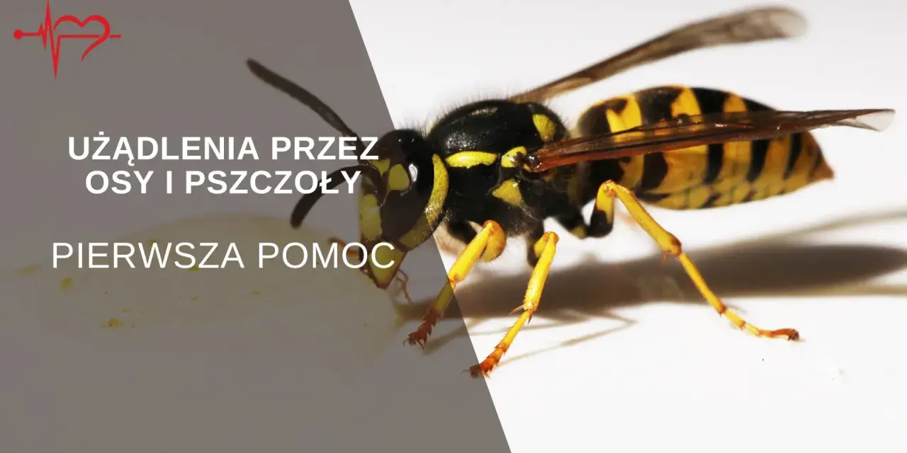 Zbliżenie na osę z tekstem "Użądlenia przez osy i pszczoły. Pierwsza pomoc.