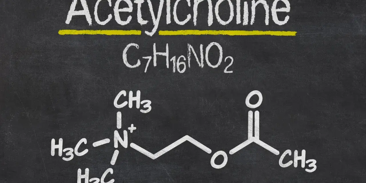 Struktura chemiczna acetylocholiny na tablicy.