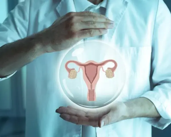 Dłonie lekarza w białym fartuchu trzymają bańkę z grafiką narządów rodnych kobiety.