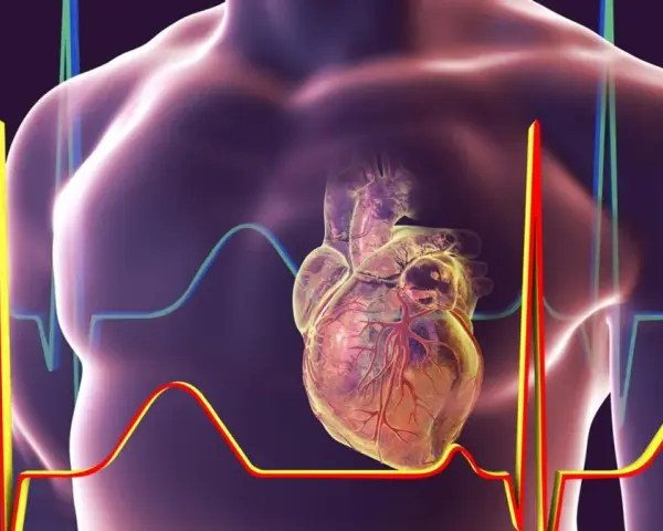 Anatomical serce na tle wykresów EKG i sylwetki człowieka.