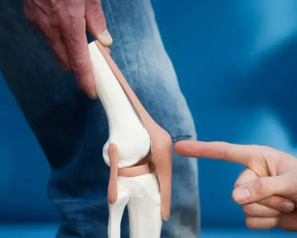 Model anatomiczny kolana, na który wskazuje palec, na tle niebieskim.
