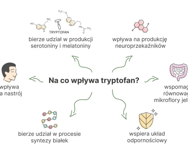Ilustracja przedstawia schemat wpływu tryptofanu na organizm: produkcję neuroprzekaźników, nastrój, syntezę białek, mikroflorę jelitową i odporność.
