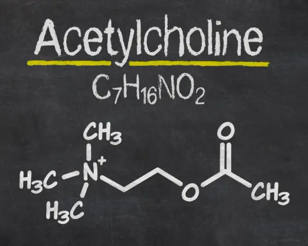 Struktura chemiczna acetylocholiny na tablicy.
