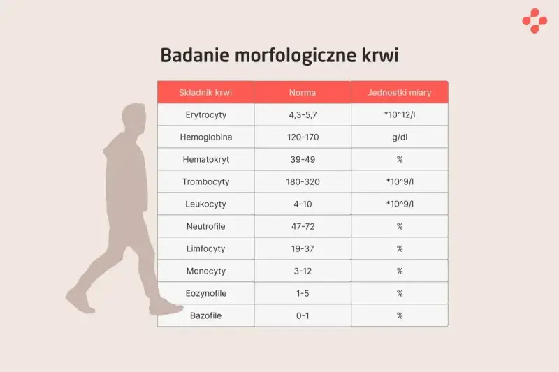 Tabela z badaniem morfologicznym krwi, pokazująca normy dla erytrocytów, hemoglobiny, hematokrytu, trombocytów, leukocytów i innych składników. P-lcr.